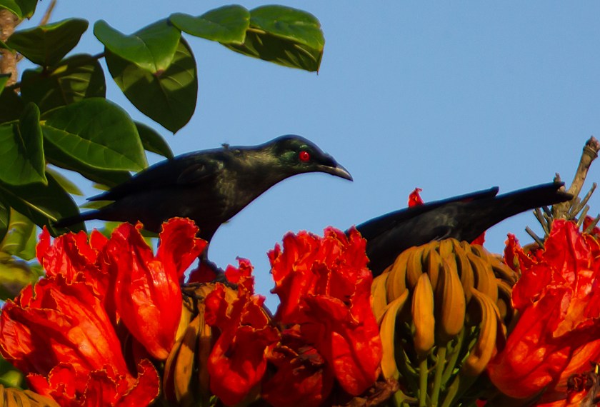 orientstare_20181113_10